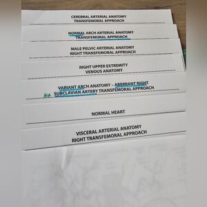 DR Z. Medical Anatomy Study Guides Set